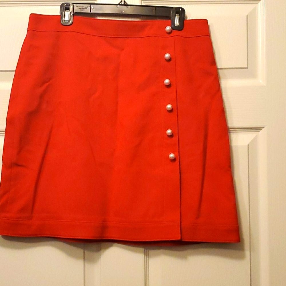 Ann Taylor skirt
